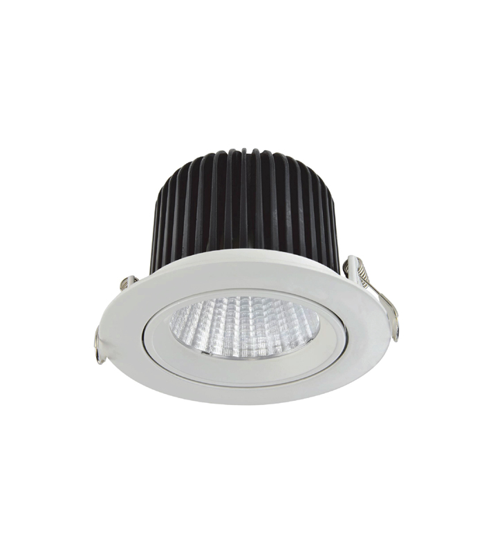 Đèn led chiếu điểm R204 - SmartX